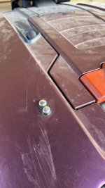 IMG_1300.jpeg