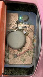 IMG_1410.jpeg