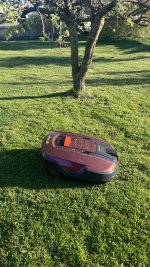 IMG_5626.jpeg