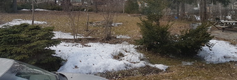 2019-04-0515.16.19.jpg